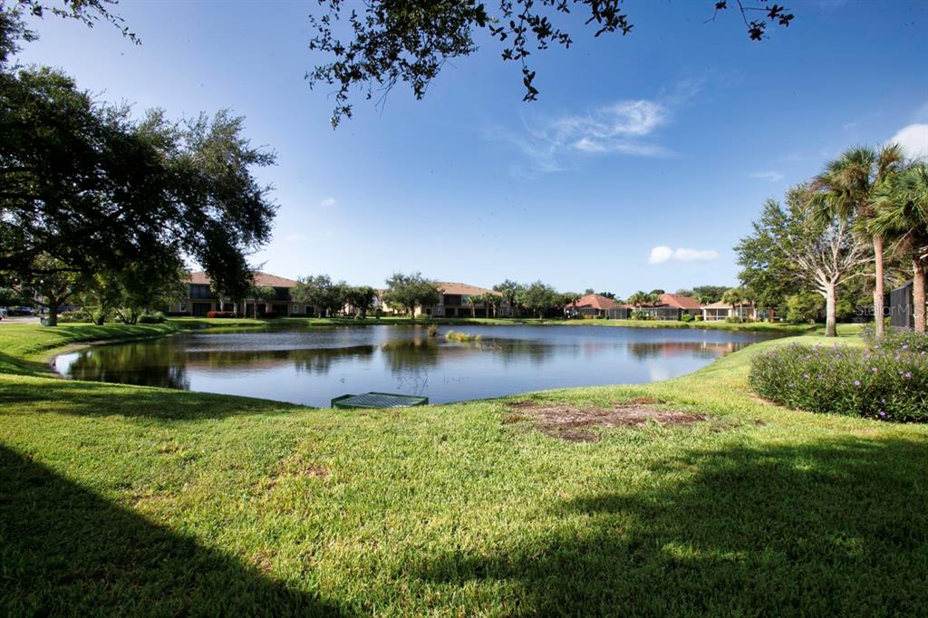 7321 Emma Road Bradenton, FL 34209 - Photo 2 of 49