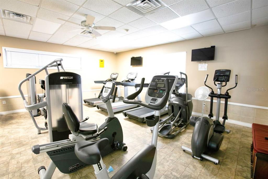 7321 Emma Road Bradenton, FL 34209 - Photo 41 of 49