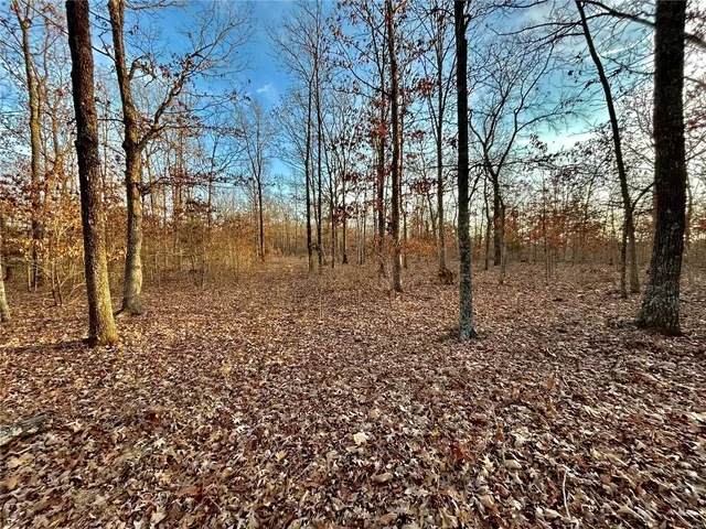 $195,000 | 0 Tbd Tract 1 Highway, Salem, MO 65560