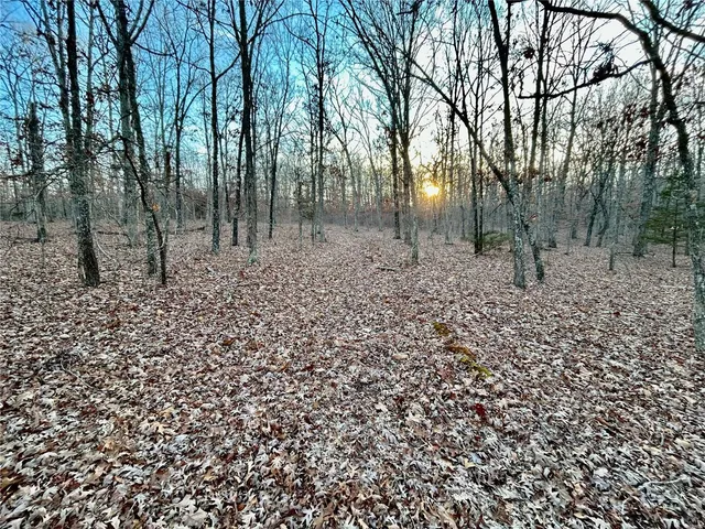 $195,000 | 0 Tbd Tract 1 Highway, Salem, MO 65560