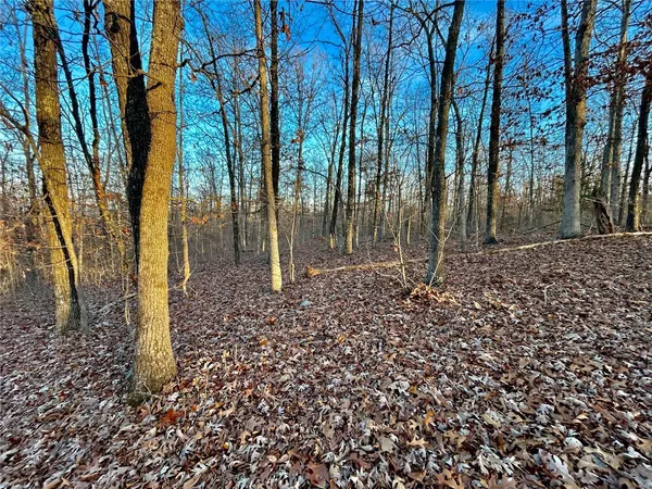 $195,000 | 0 Tbd Tract 1 Highway, Salem, MO 65560