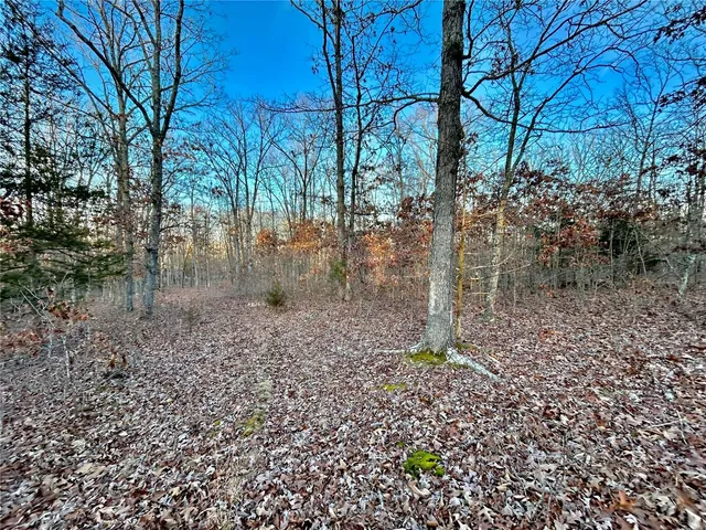$195,000 | 0 Tbd Tract 1 Highway, Salem, MO 65560