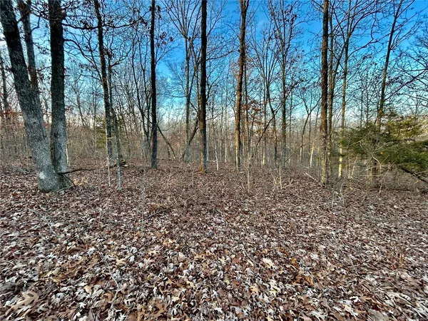 $195,000 | 0 Tbd Tract 1 Highway, Salem, MO 65560