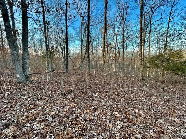 $195,000 | 0 Tbd Tract 1 Highway, Salem, MO 65560