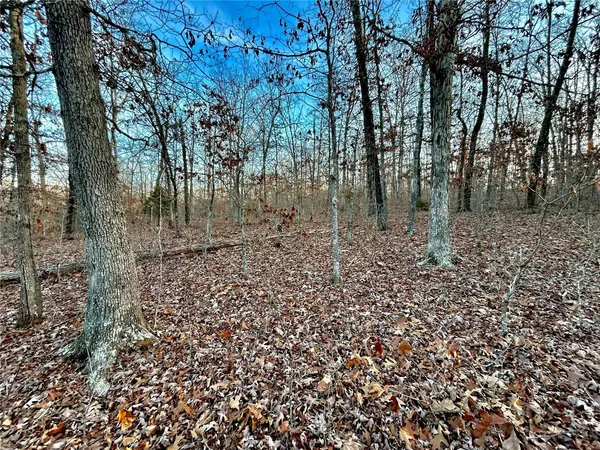 $195,000 | 0 Tbd Tract 1 Highway, Salem, MO 65560