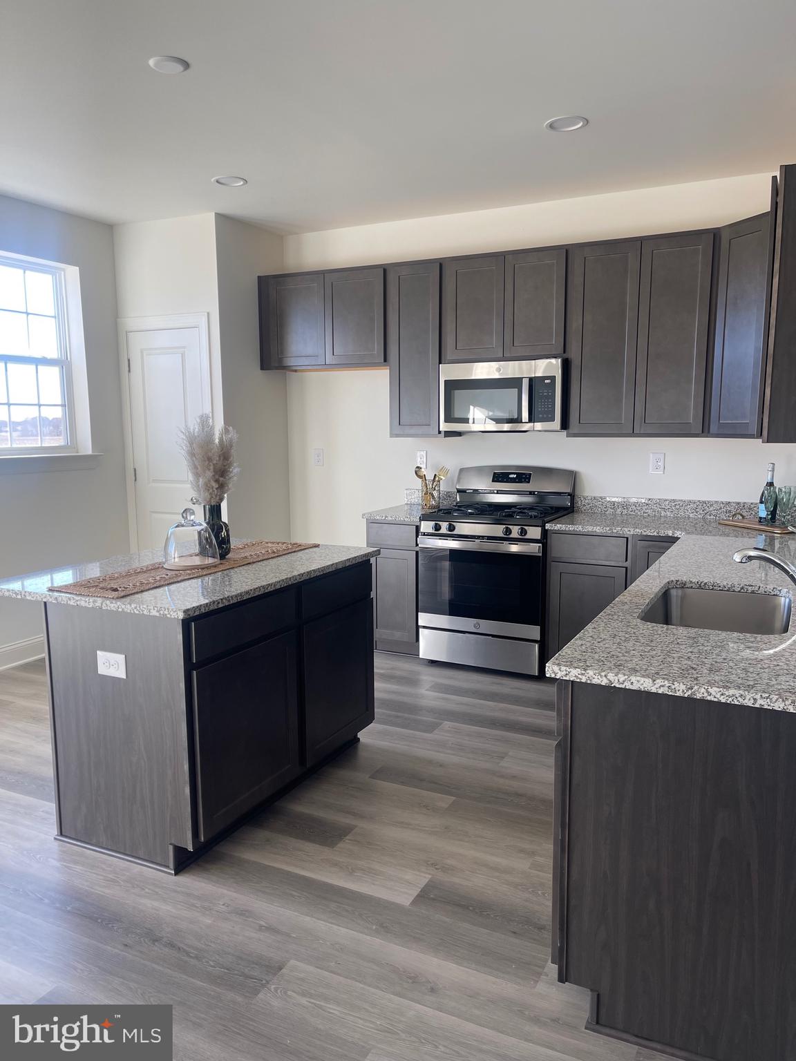 446 Rederick Lane Middletown, DE 19709 - Photo 3 of 18 Kitchen