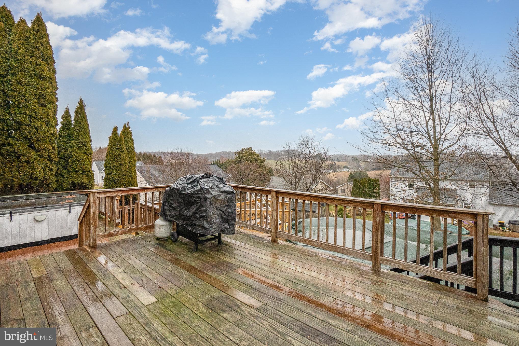202 Turtleback Court Rising Sun, MD 21911 - Photo 30 of 34