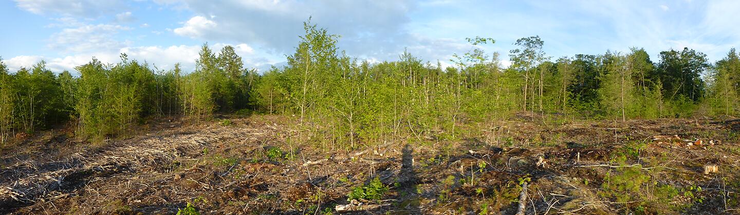 Tbd South Ridge Drive Winslow, ME 04901 - Photo 15 of 17 5