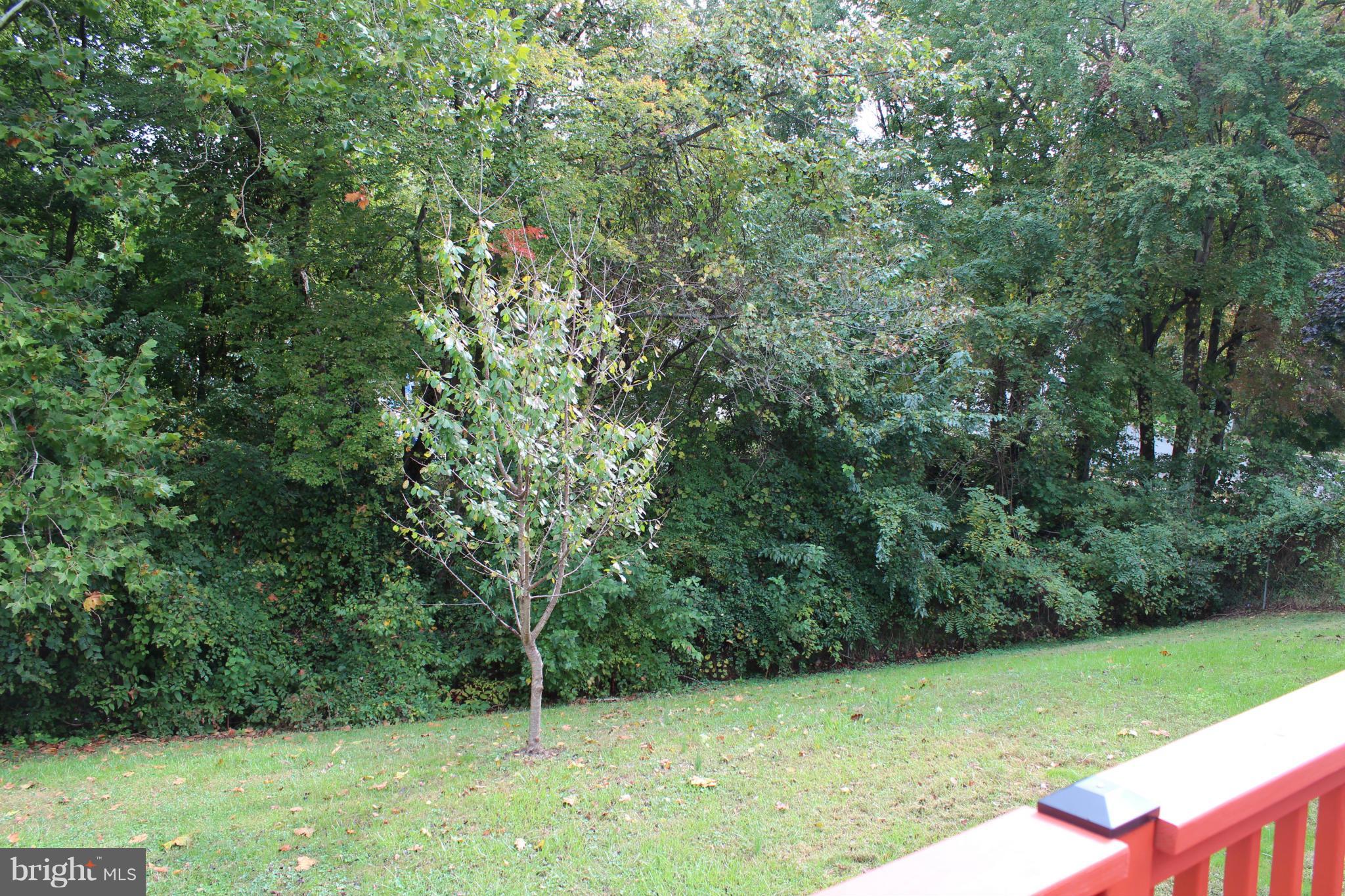 13827 Gilbert Road Woodbridge, VA 22193 - Photo 24 of 30 View