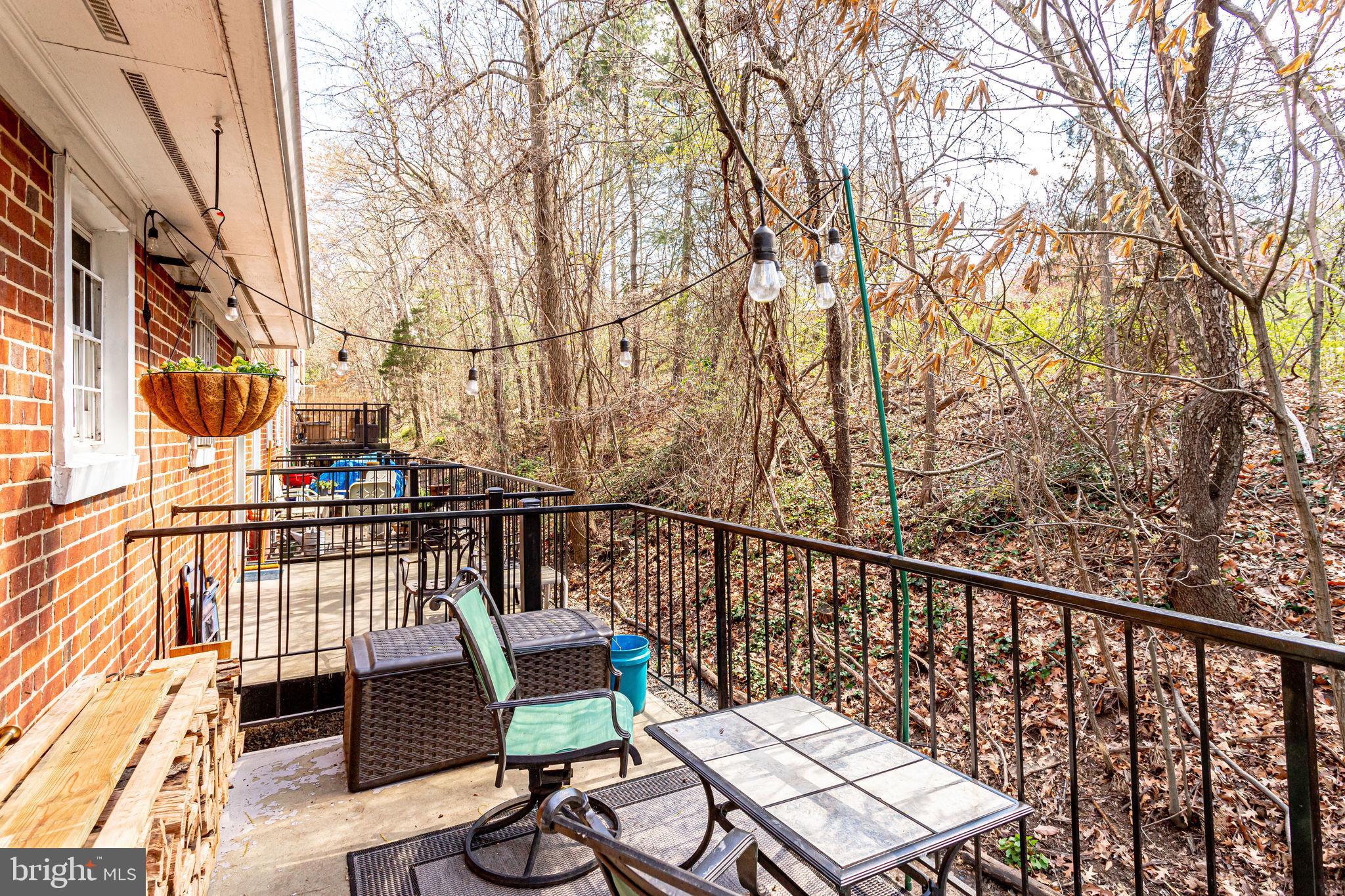 4648 28th Road South, Unit C Arlington, VA 22206 - Photo 20 of 44 View of trees