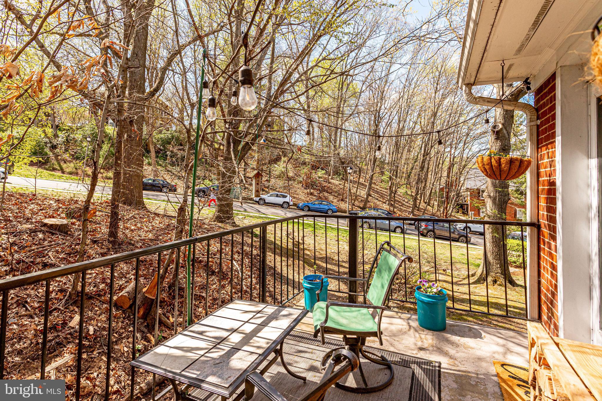 4648 28th Road South, Unit C Arlington, VA 22206 - Photo 21 of 44 View of trees