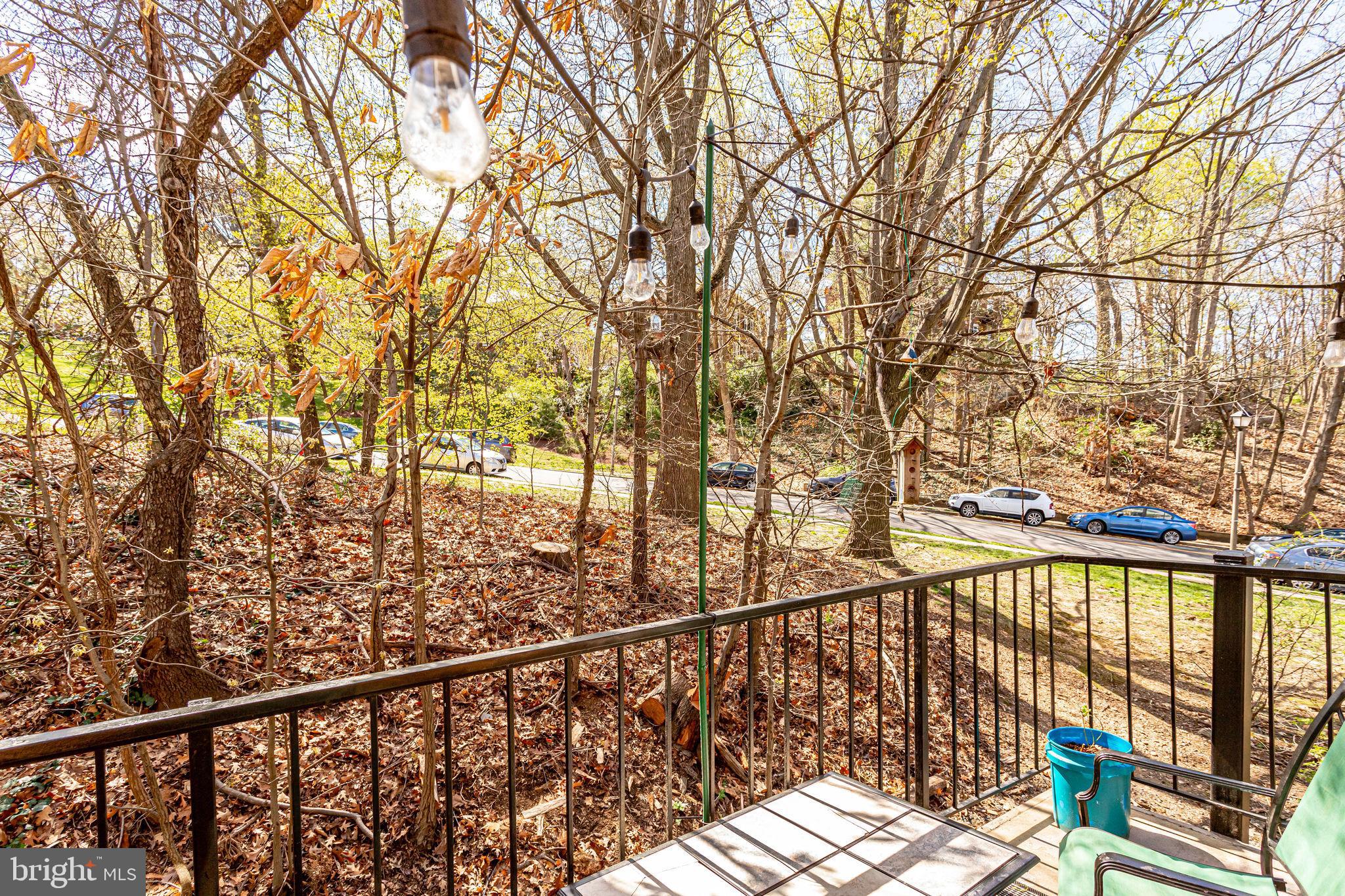 4648 28th Road South, Unit C Arlington, VA 22206 - Photo 22 of 44 View of trees