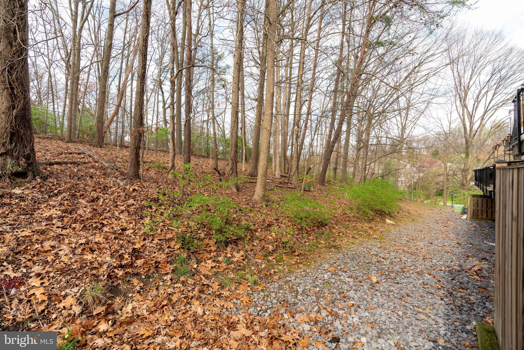 4648 28th Road South, Unit C Arlington, VA 22206 - Photo 23 of 44 View from ground