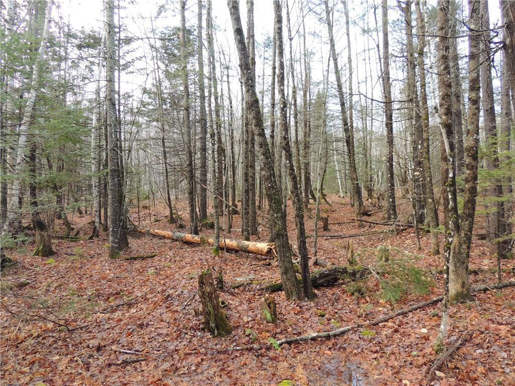 99 Longley Road Solon, ME 04979 - Photo 15 of 20 Photo