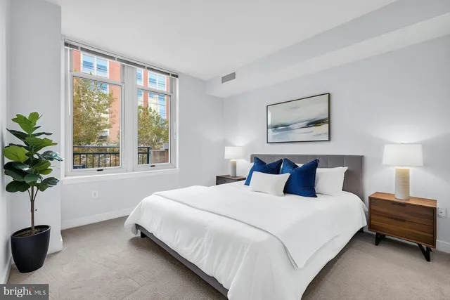 a bedroom with a large bed and a potted plant