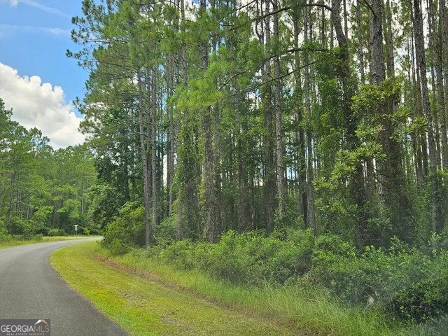 $36,000 | 0 Waverly West Lane, White Oak, GA 31568