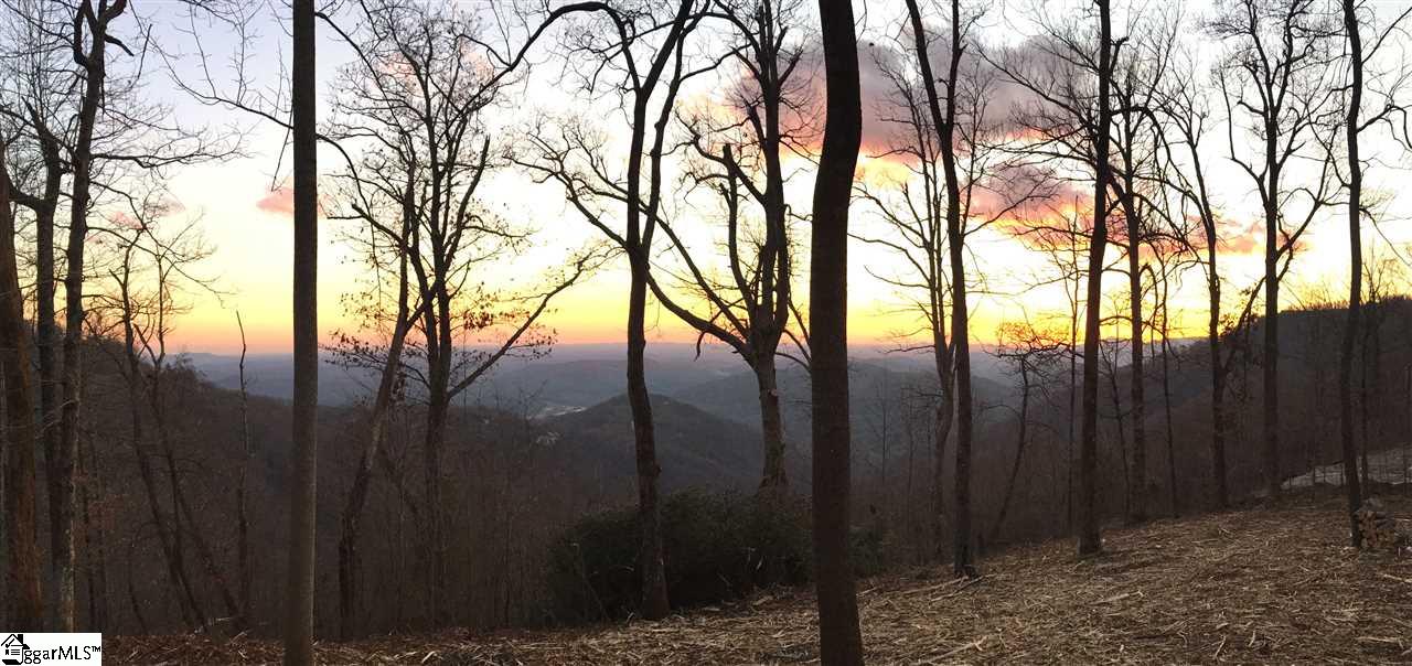 1399 Mountain Summit Road Travelers Rest, SC 29690 - Photo 2 of 7