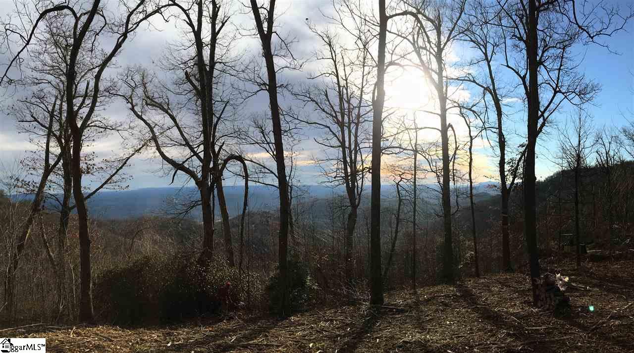 1399 Mountain Summit Road Travelers Rest, SC 29690 - Photo 5 of 7