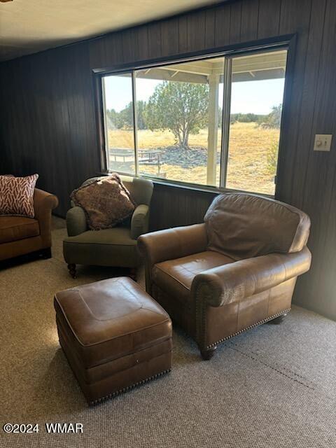 5176 Deer Run Road Heber, AZ 85928 - Photo 3 of 8 Living1