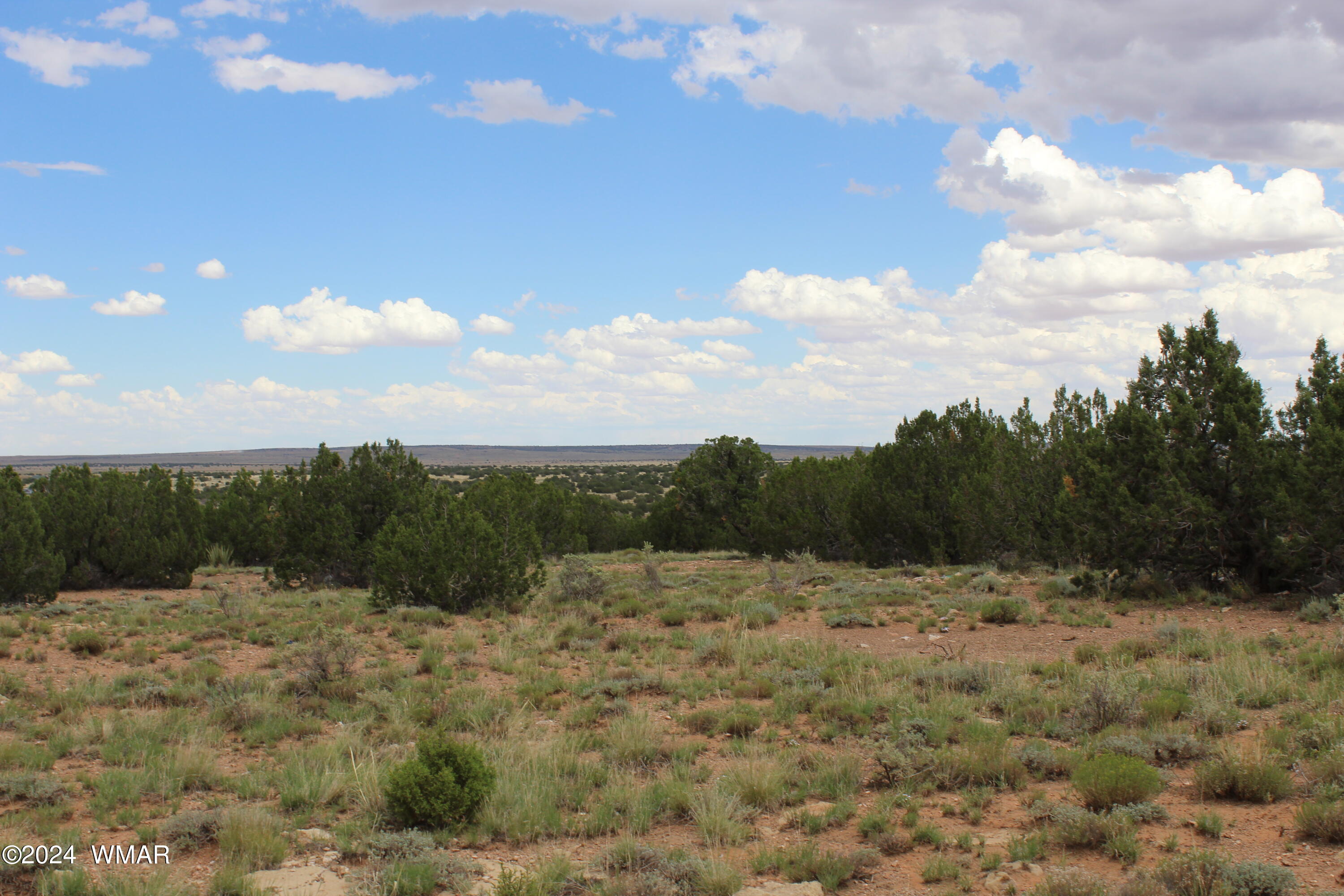 5176 Deer Run Road Heber, AZ 85928 - Photo 6 of 8 9