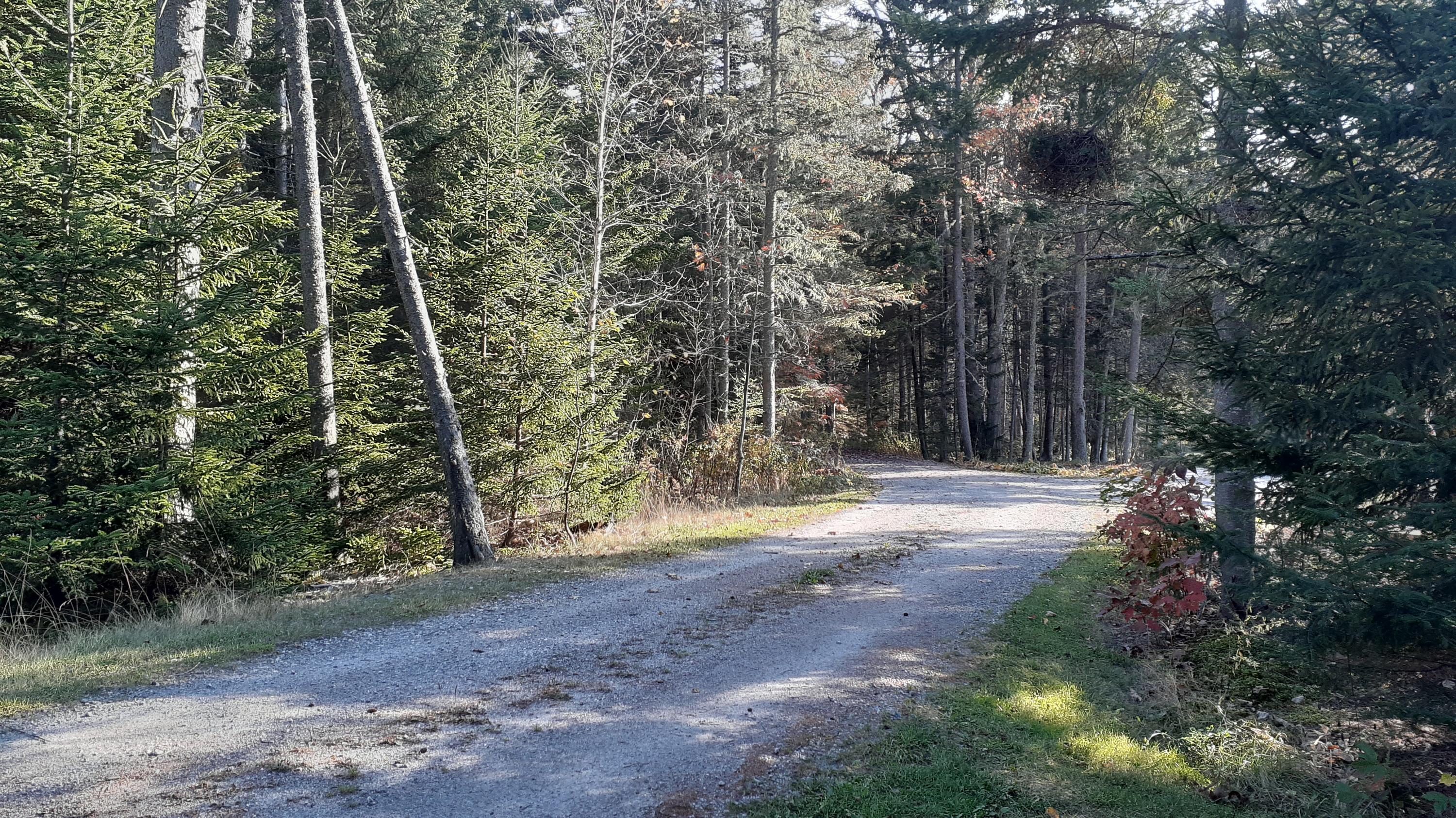 278 Davis Point Road Cushing, ME 04563 - Photo 22 of 27 20201025_145835
