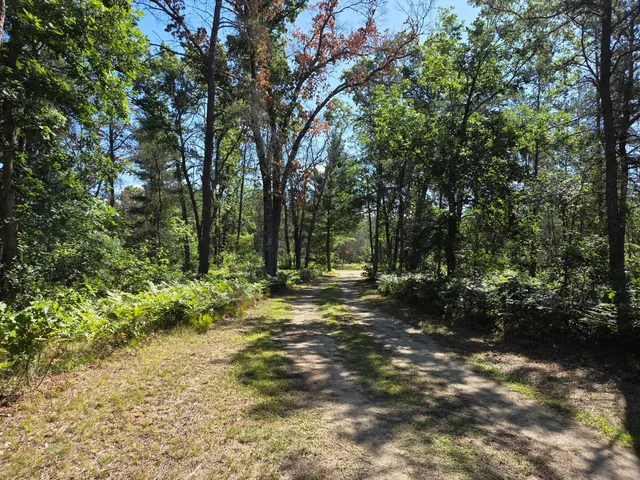 $279,900 | 4771 South Spruce Road, Idlewild, MI 49642