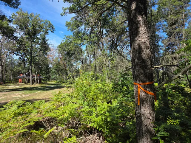 $279,900 | 4771 South Spruce Road, Idlewild, MI 49642