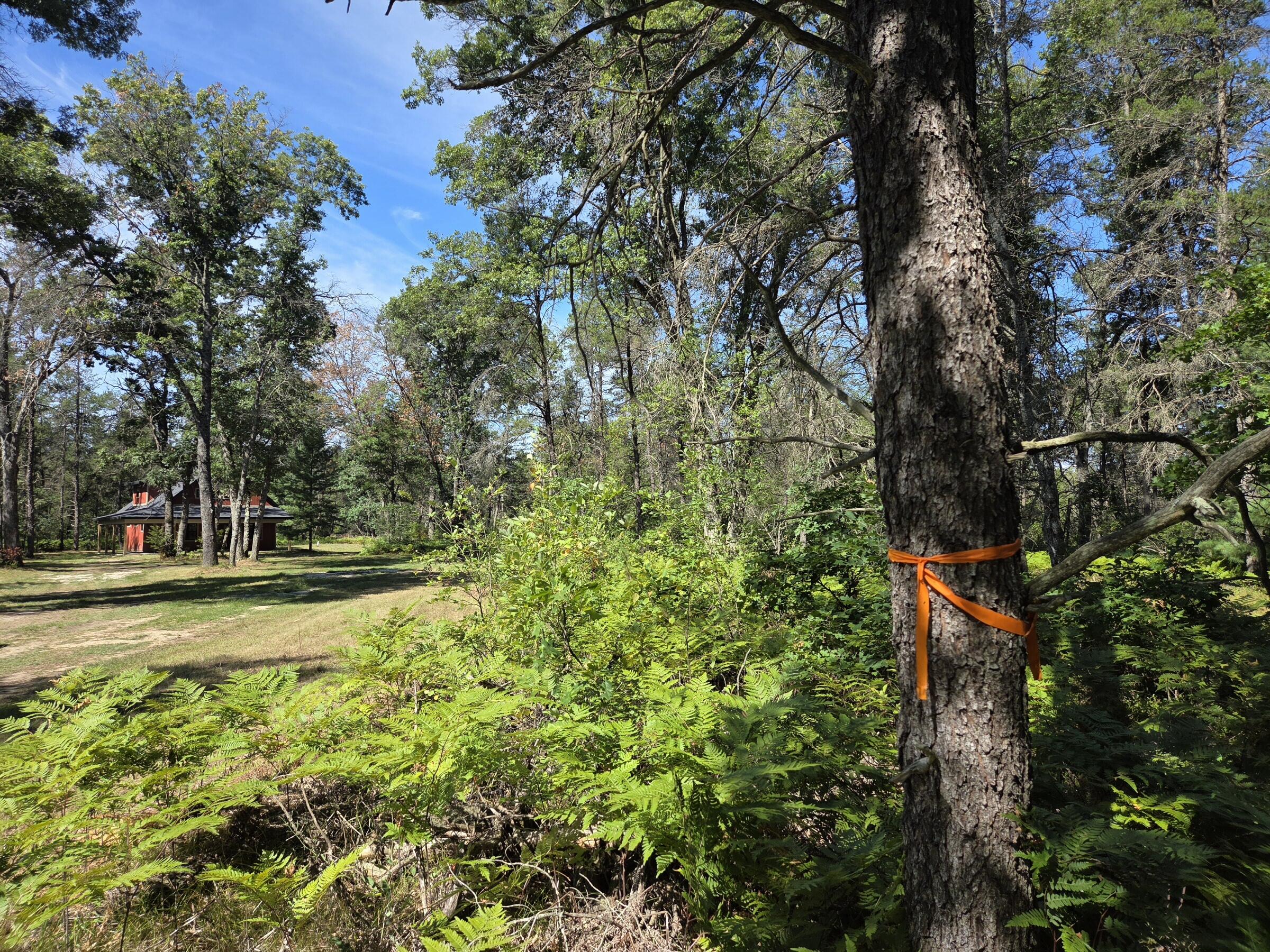 4771 South Spruce Road Idlewild, MI 49642 - Photo 42 of 44 20250829_113446