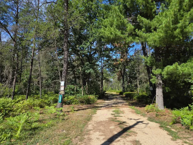 $279,900 | 4771 South Spruce Road, Idlewild, MI 49642