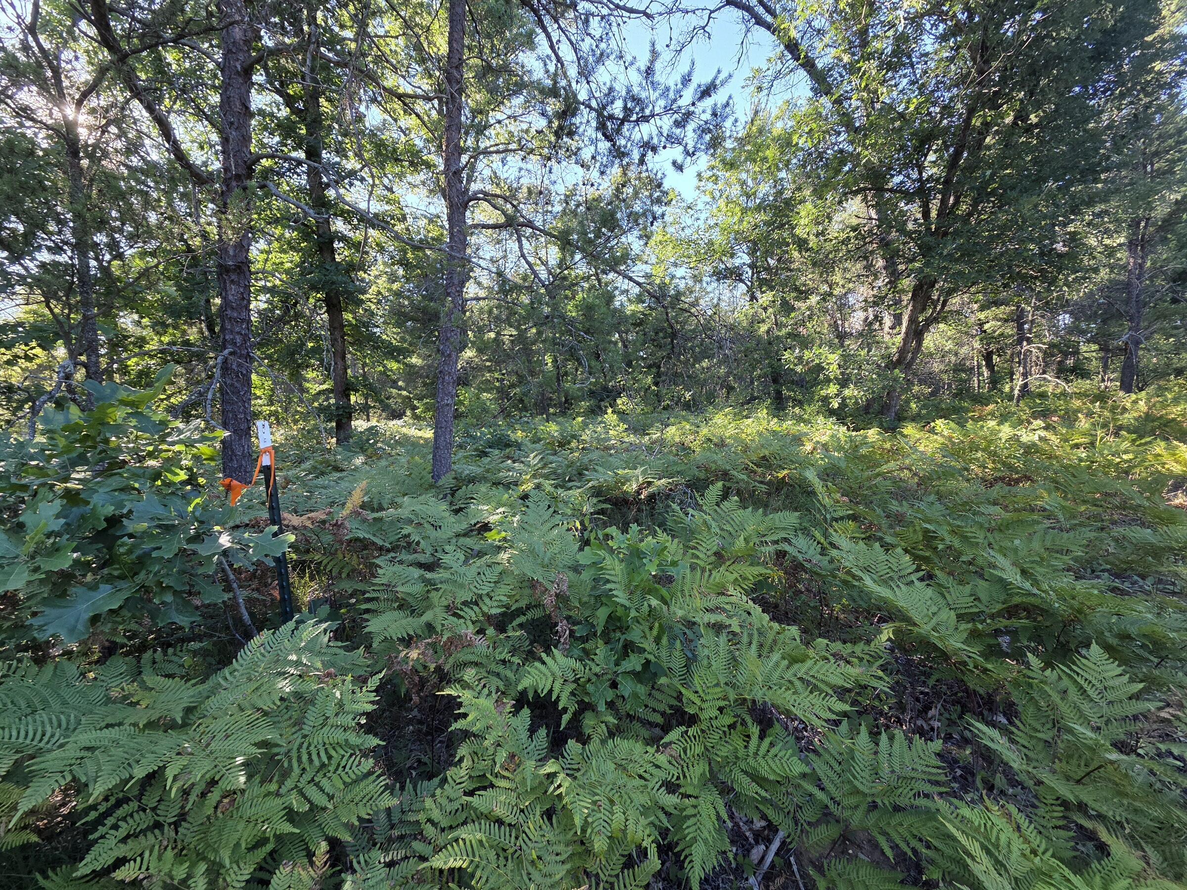 4771 South Spruce Road Idlewild, MI 49642 - Photo 44 of 44 20250829_180834