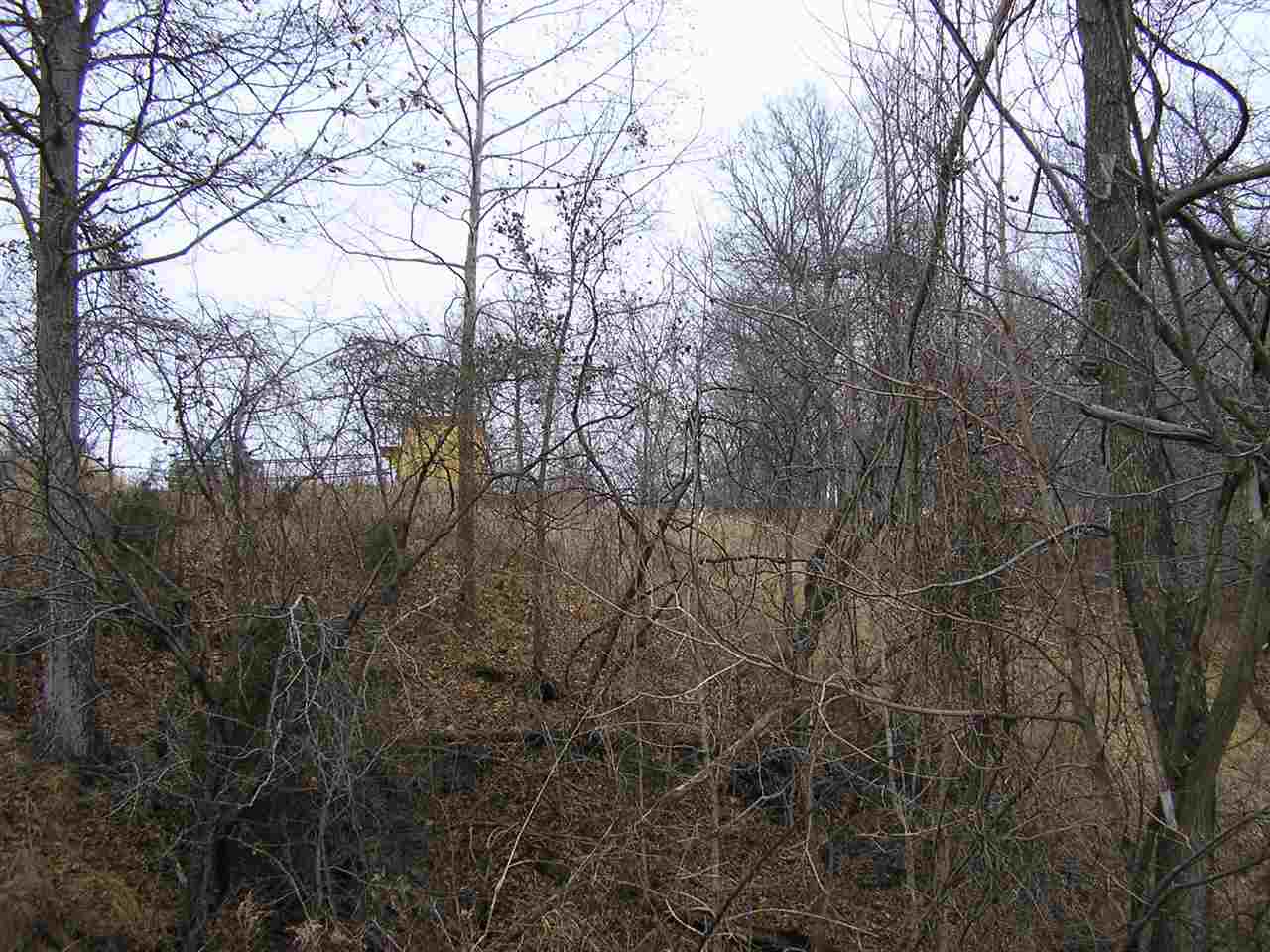 0 Barren River Road Morgantown, KY 42261 - Photo 17 of 17 Gallery Image 17