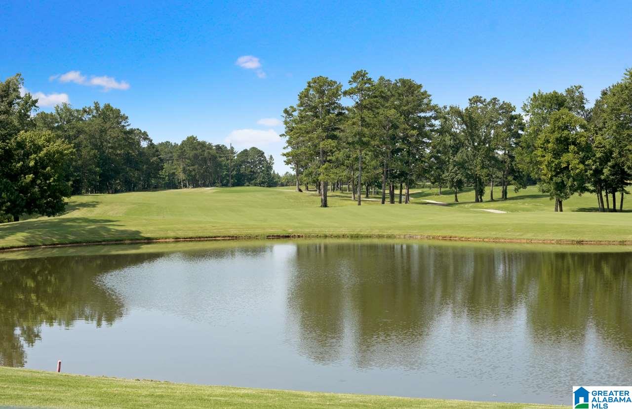 1020 Merion Drive Calera, AL 35040 - Photo 49 of 50