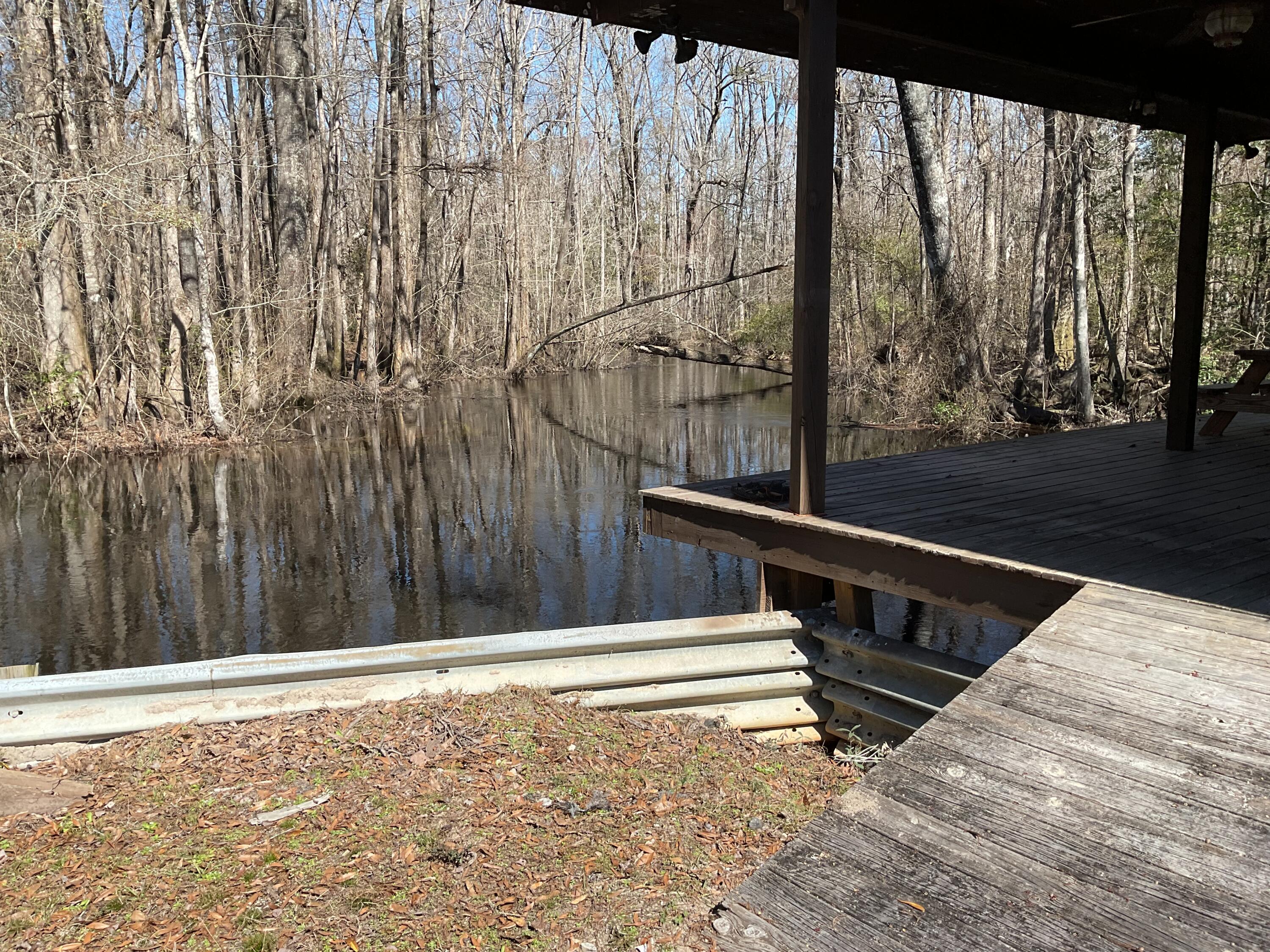 1114 Lott Bluff Road Blackville, SC 29817 - Photo 141 of 164