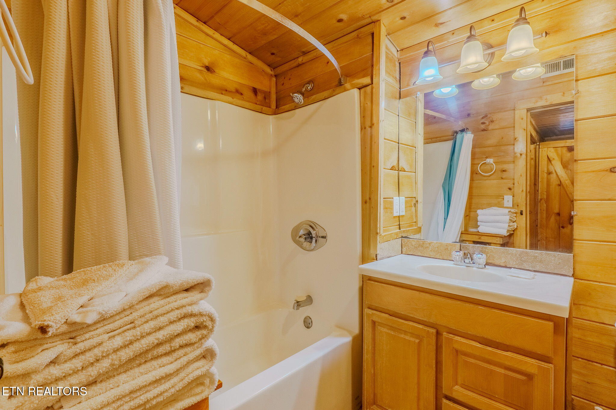 1321 Wears Valley Road Townsend, TN 37882 - Photo 11 of 24 4-web-or-mls-_DSC3744-HDR