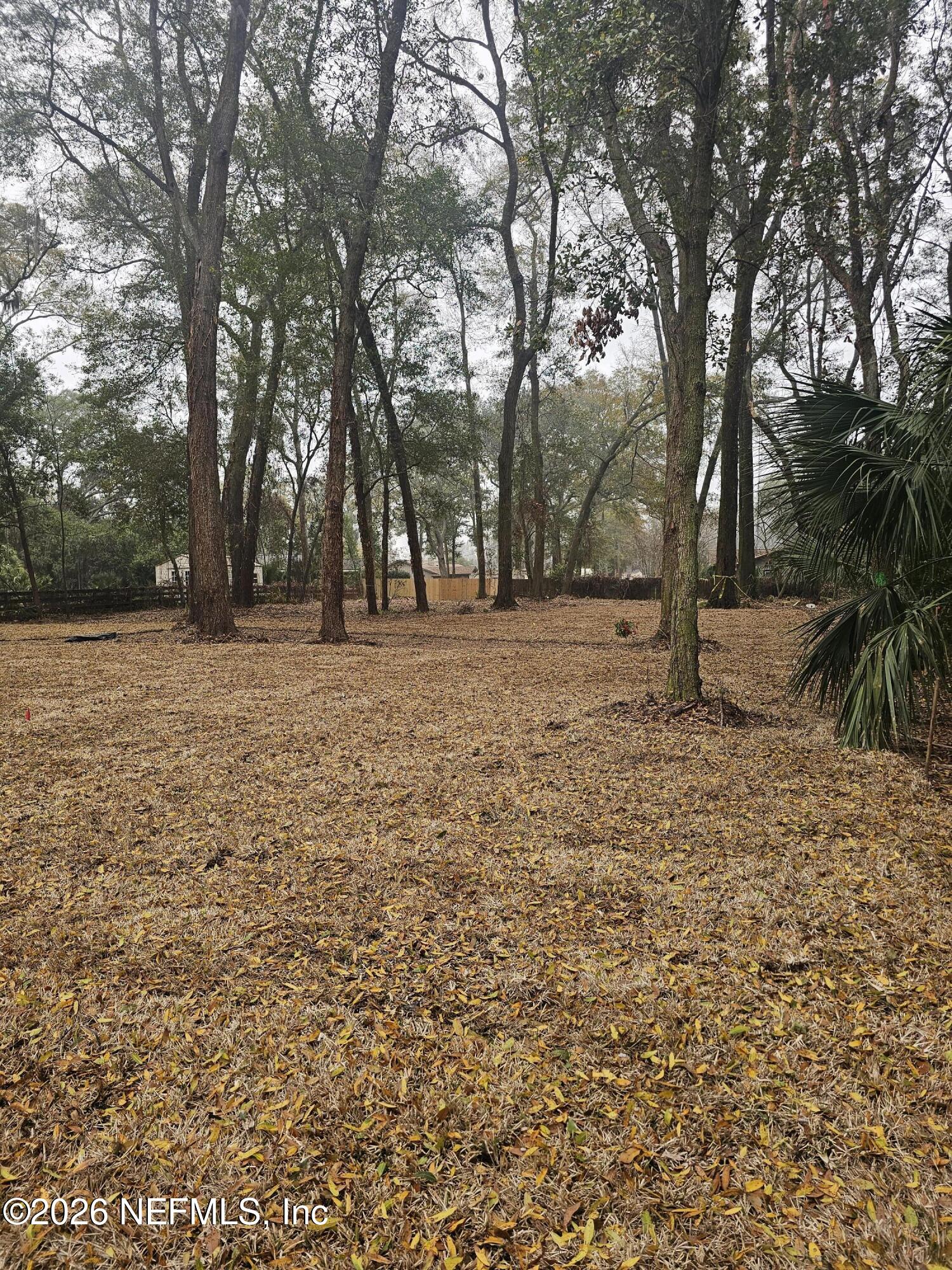 1355 Eddy Road Jacksonville, FL 32211 - Photo 23 of 24 backyard2.19
