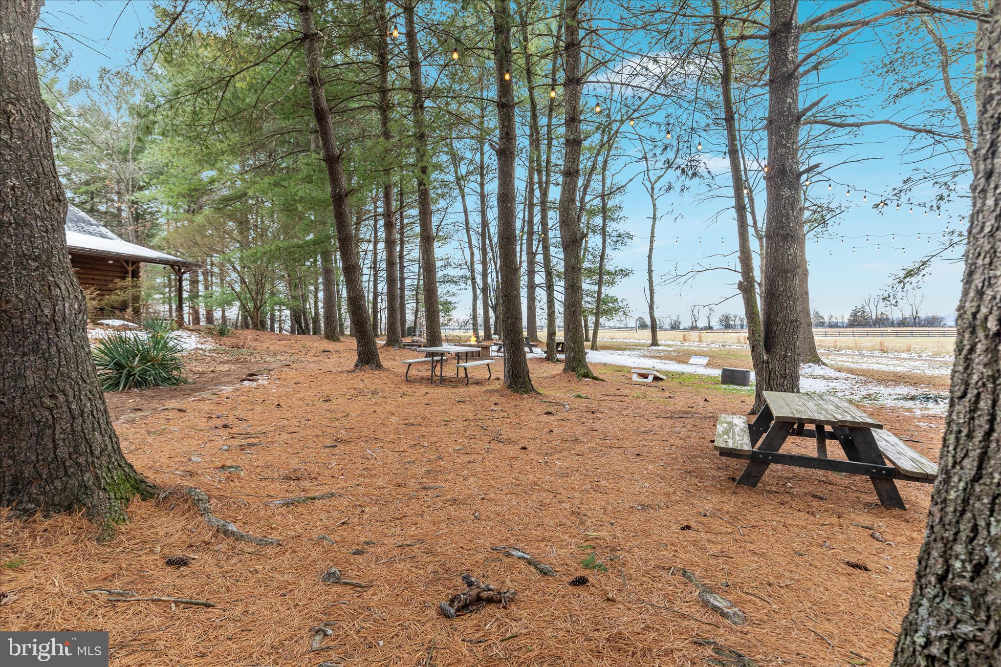 43301 Spinks Ferry Road Leesburg, VA 20176 - Photo 31 of 102 2E7A6312_43301 Spinks Ferry Rd - Absolute Altitude