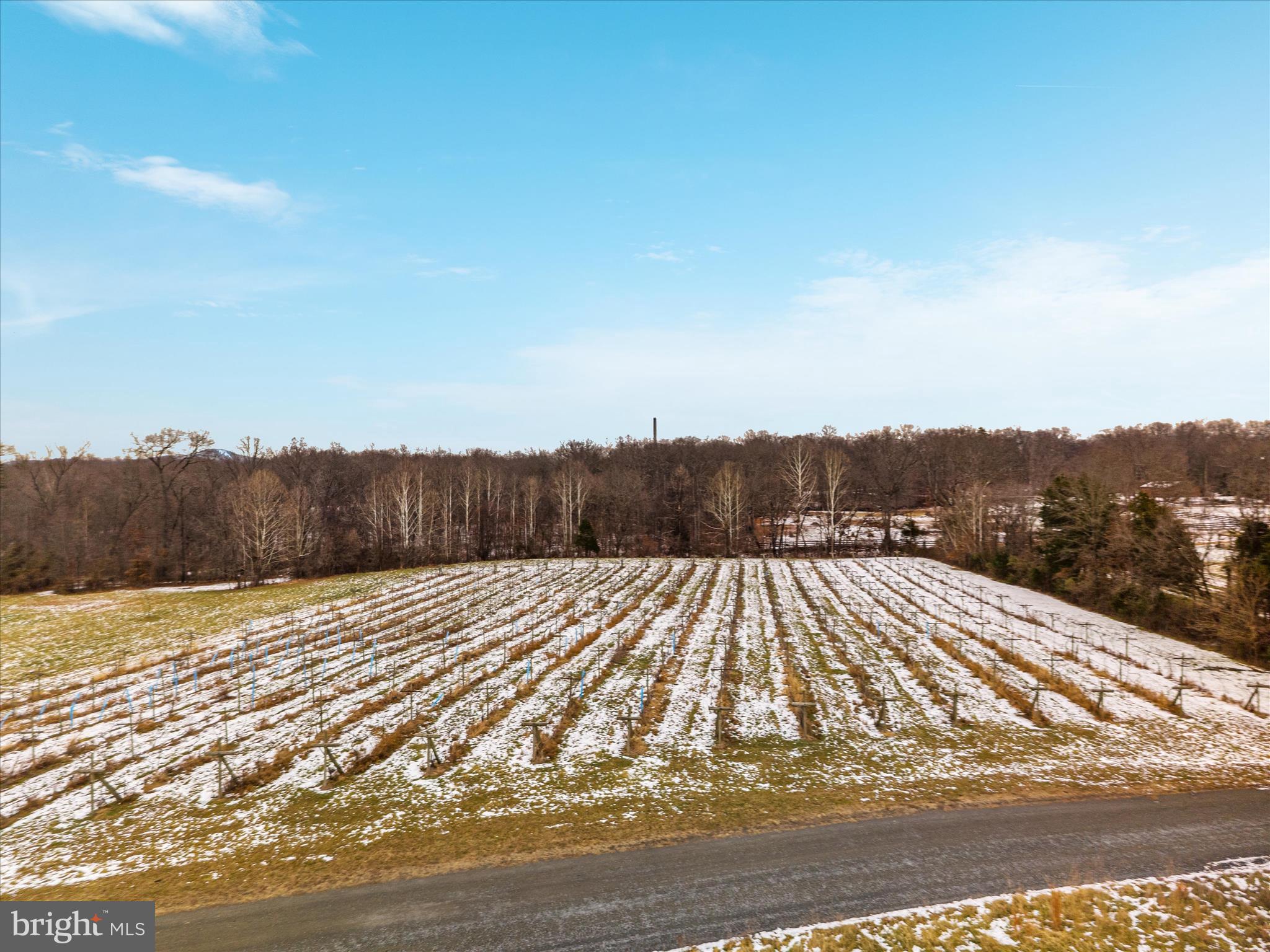 43301 Spinks Ferry Road Leesburg, VA 20176 - Photo 90 of 102 a view of an outdoor space