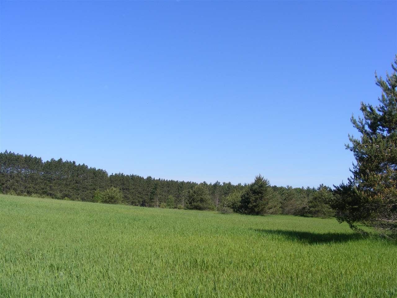 13674 Viaduct Road Copemish, MI 49625 - Photo 46 of 53 1862539-45.JPG
