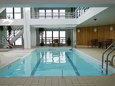 a view of a yard with plants and large trees