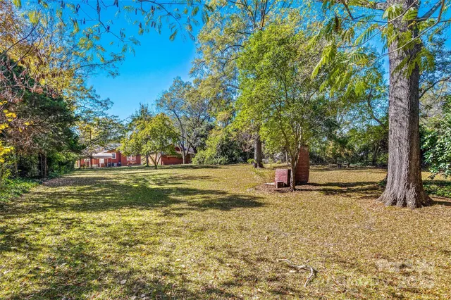 a view of a tree in front of a house