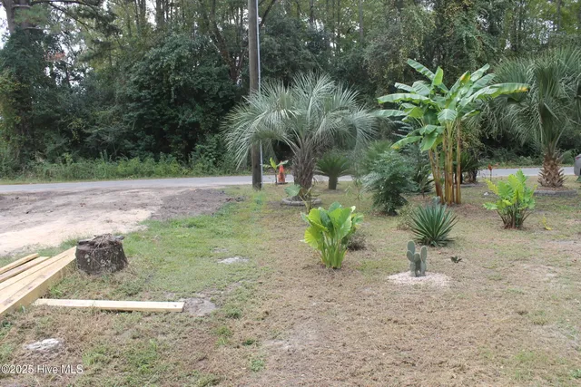 $179,900 | 301 East Goodman Street, Fair Bluff, NC 28439