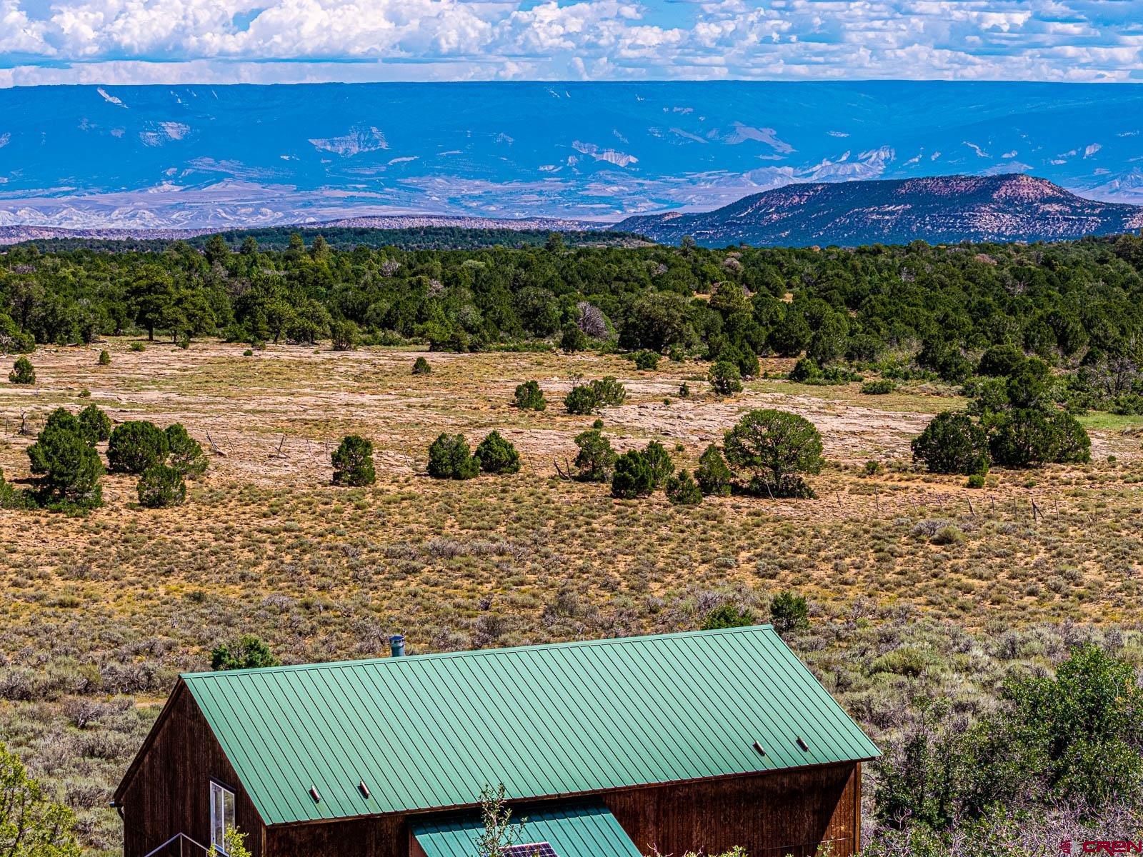 6519 Uncompahgre Divide Road Whitewater, CO 81527 - Photo 5 of 30 Gallery Image 5