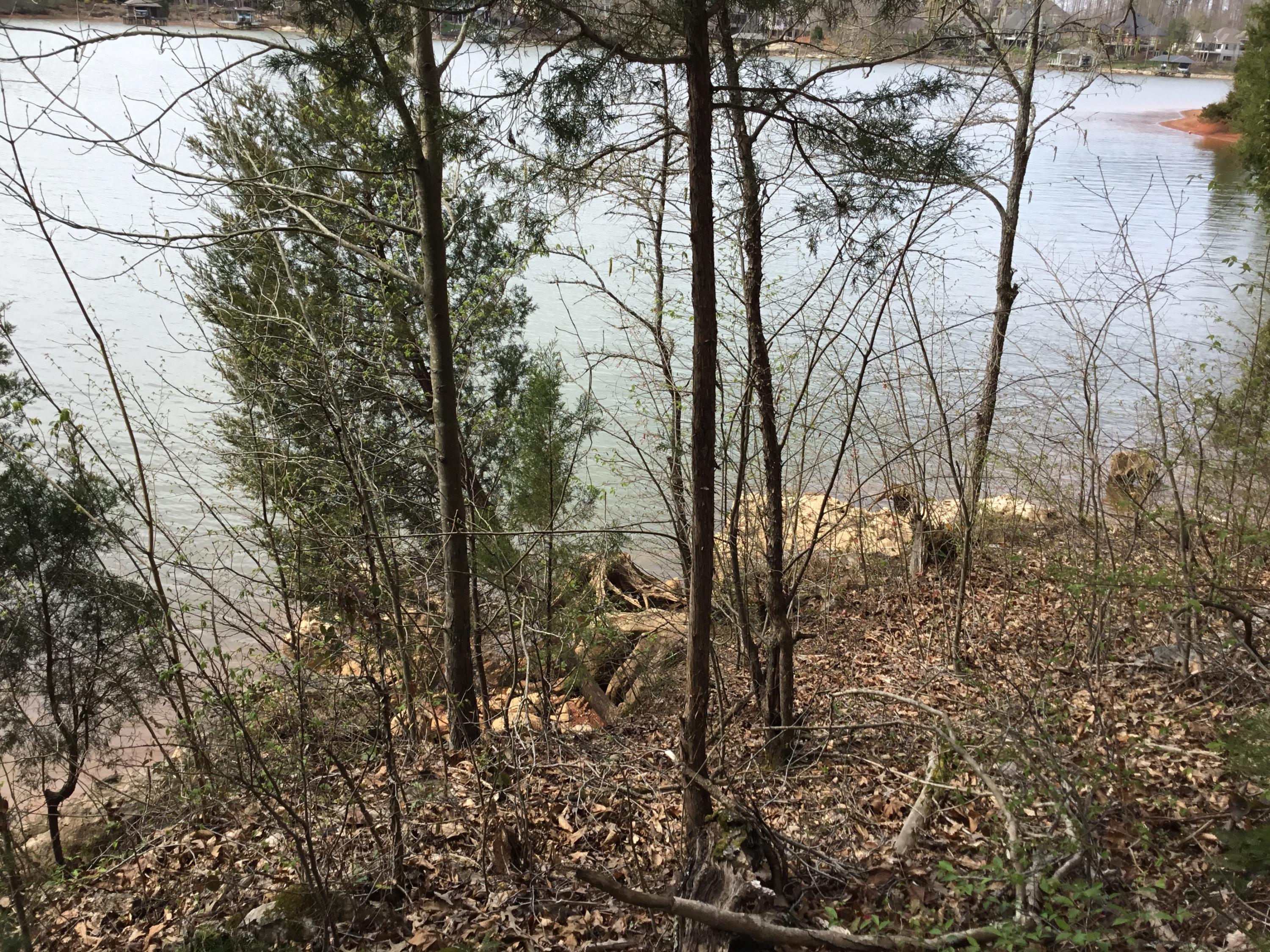 Lot 7 Thunder Road Vonore, TN 37885 - Photo 11 of 16 Photo Apr 01, 3 27 00 PM