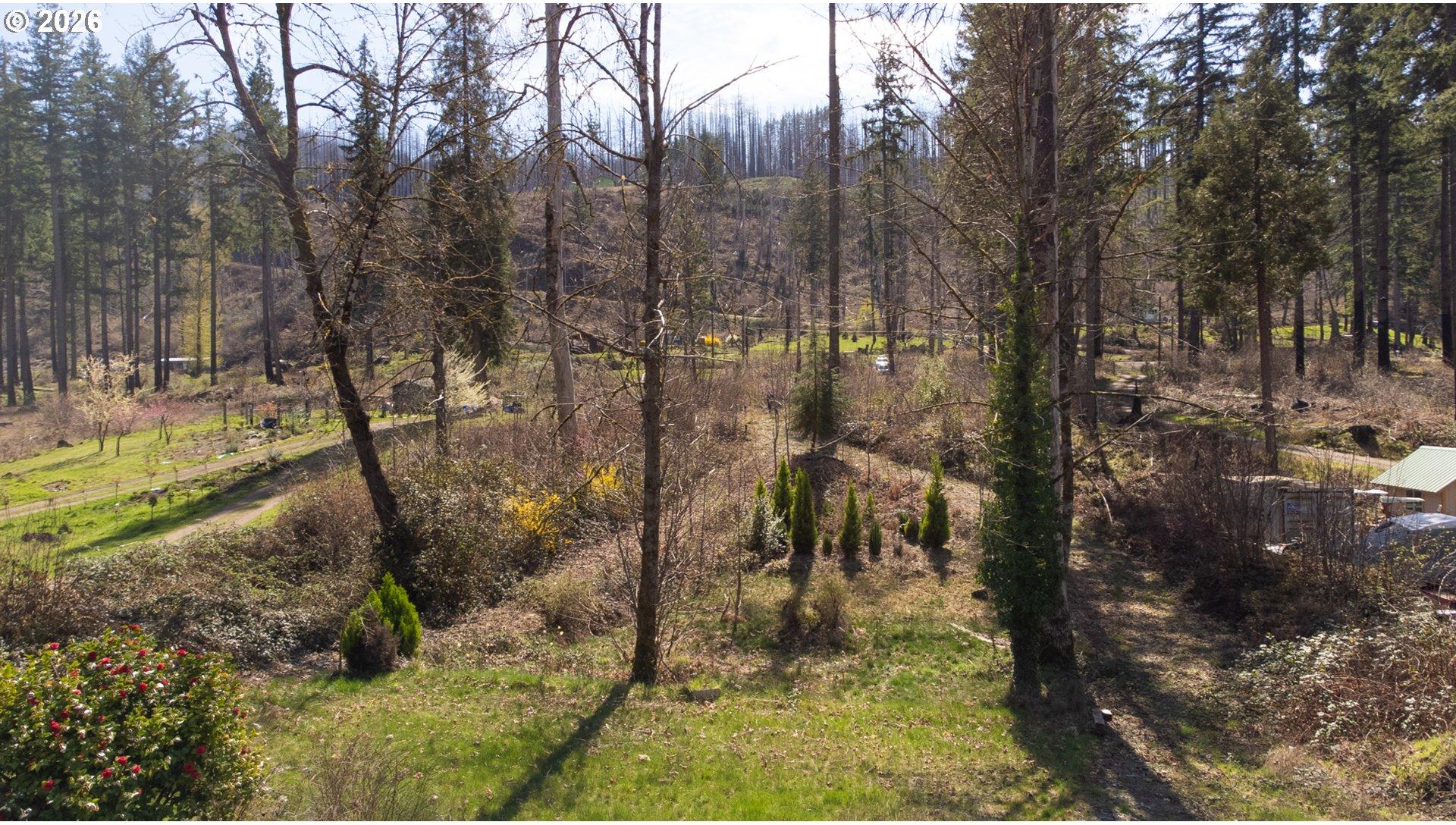 47207 Goodpasture Road Vida, OR 97488 - Photo 8 of 11 Gallery Image 8