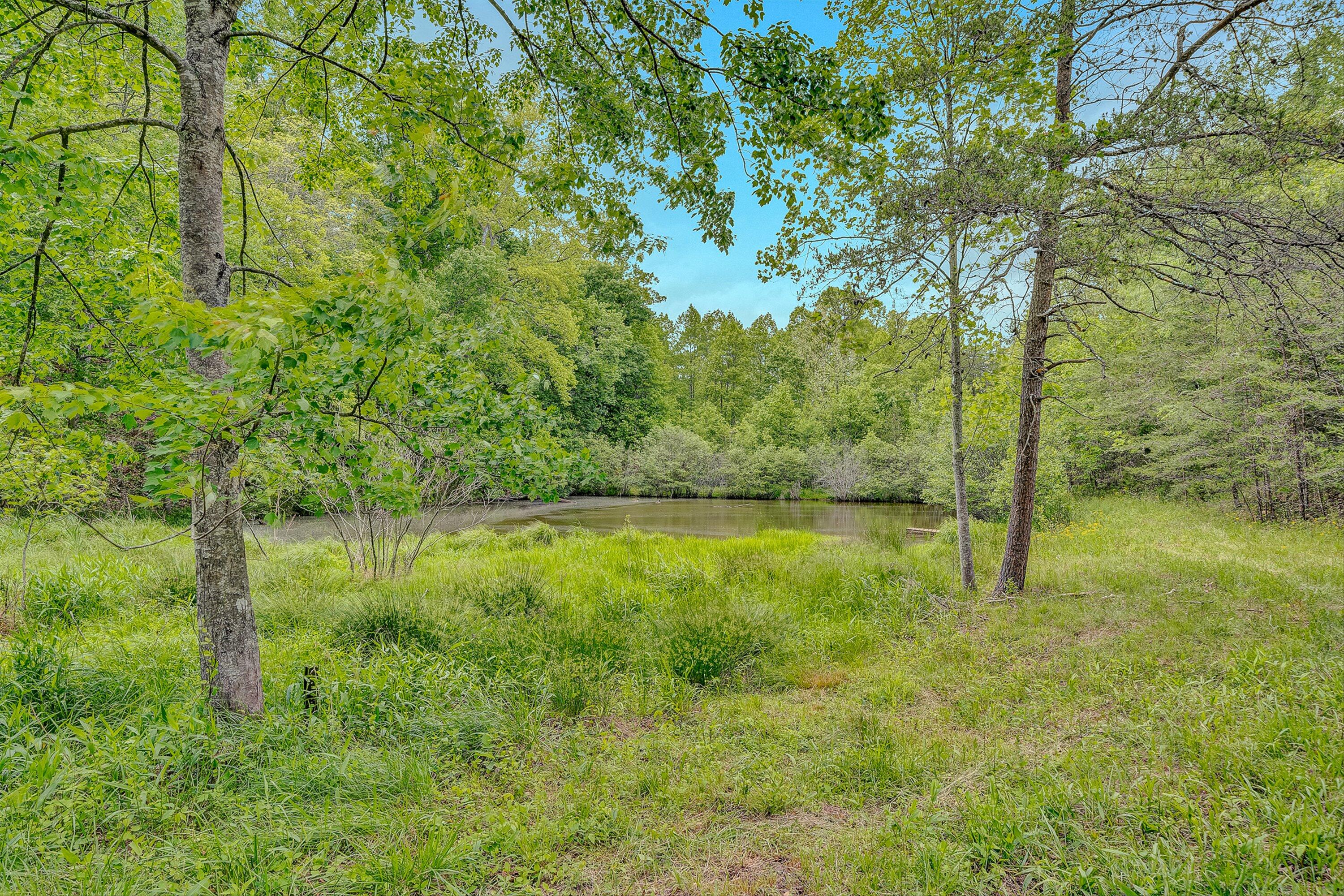 3835 Hardy Road Hardy, VA 24101 - Photo 39 of 58 39-VM-09348