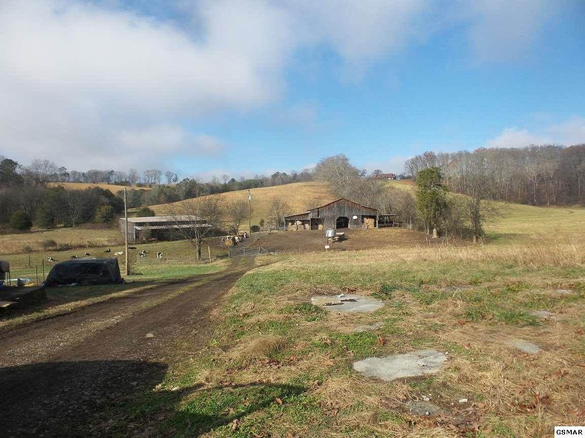 0 Dalton Road New Market, TN 37820 - Photo 14 of 27 Gallery Image 14