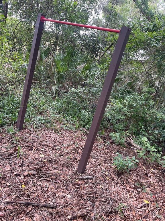 3545 Southwest 90th Street Ocala, FL 34476 - Photo 21 of 24 a view of a forest with a tree