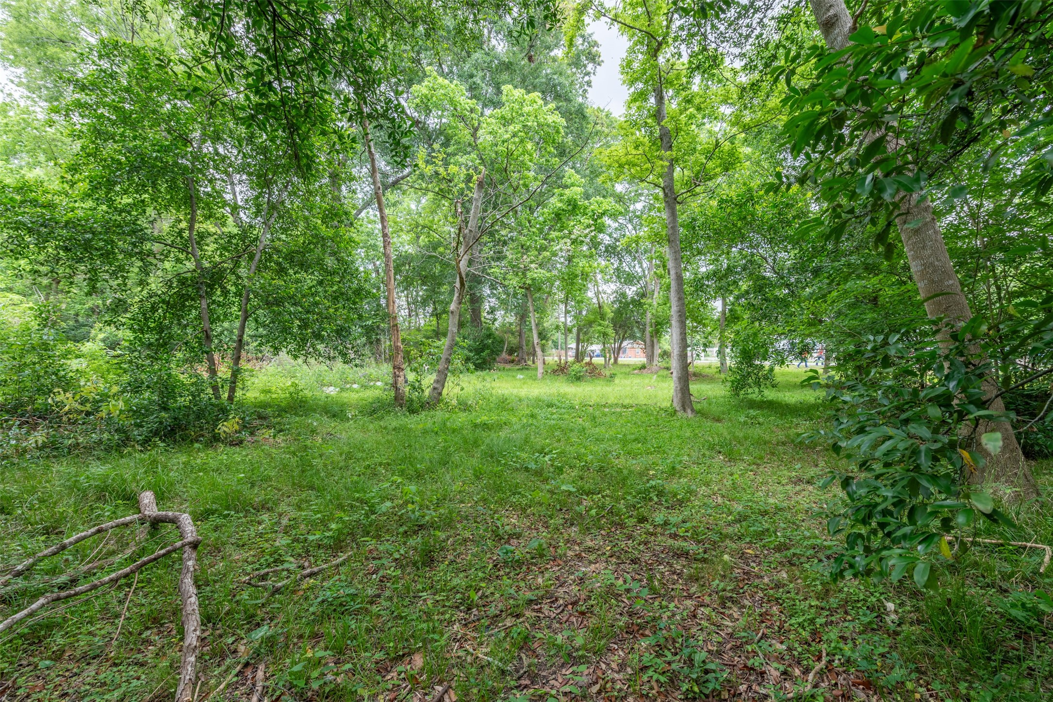 4102 Kinkaid Street Houston, TX 77093 - Photo 19 of 22