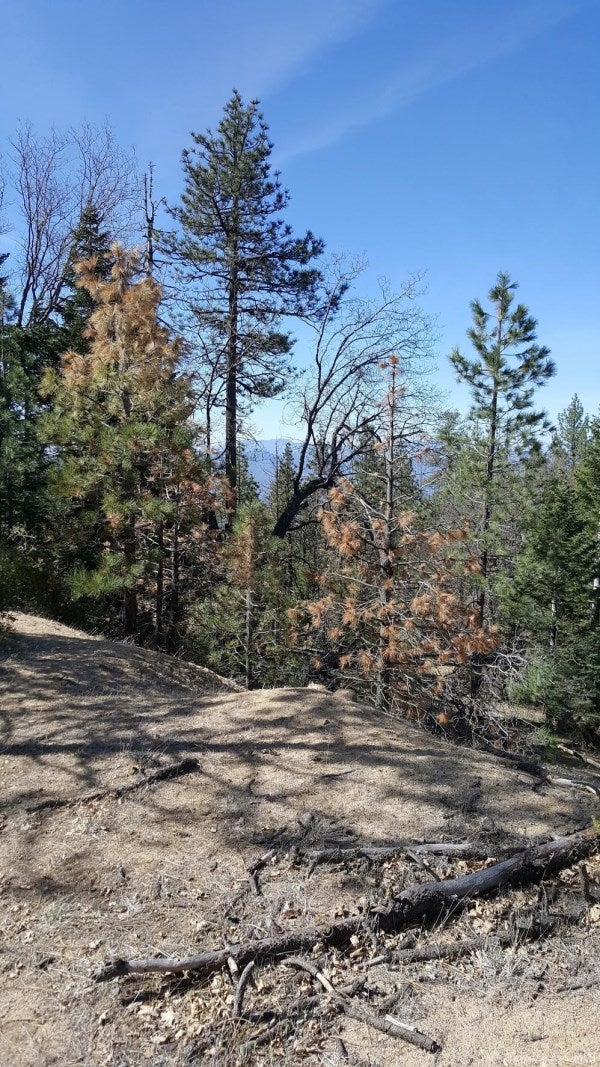 0 Piute Pines Caliente, CA 93518 - Photo 11 of 20 Gallery Image 11