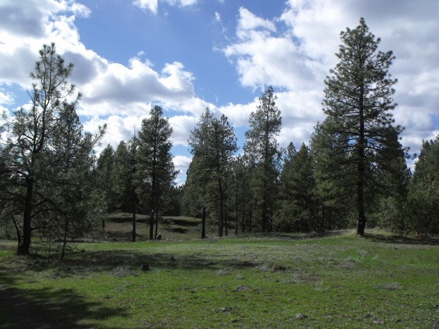 000 West Williams Lake Road Cheney, WA 99004 - Photo 1 of 16